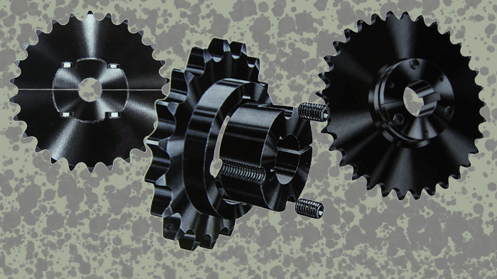 Catarinas especiales